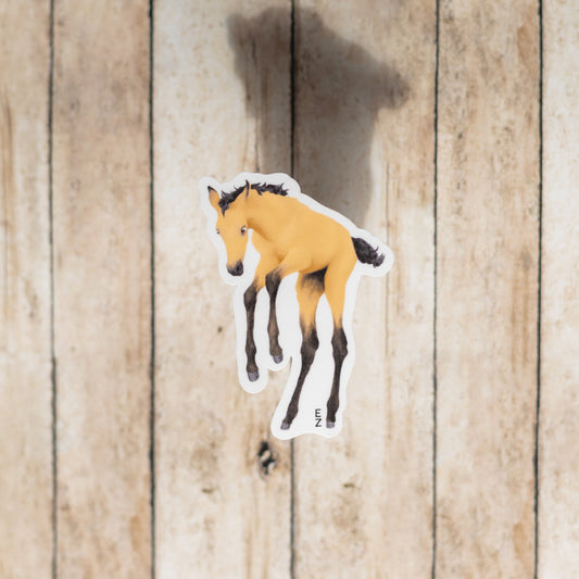 Sticker • Buckskin Jumping Foal