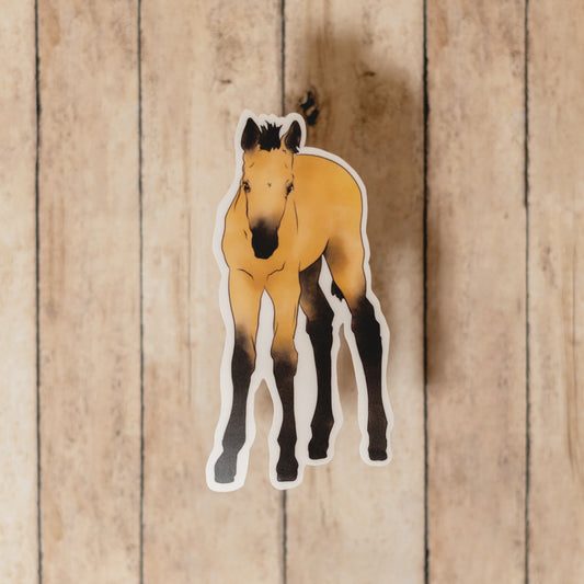 Sticker • Buckskin Foal