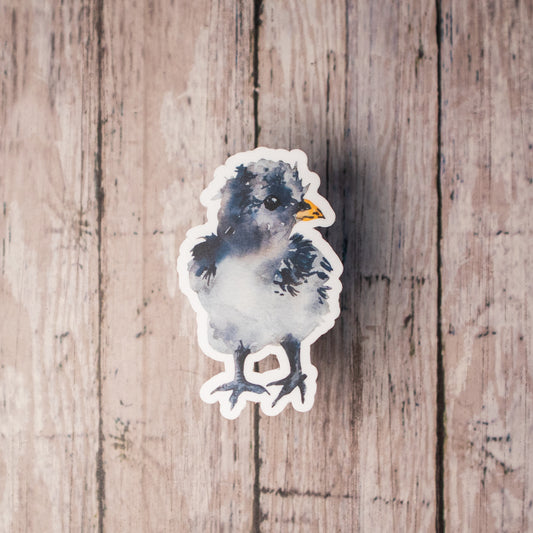 Sticker • Gray and Black Chick