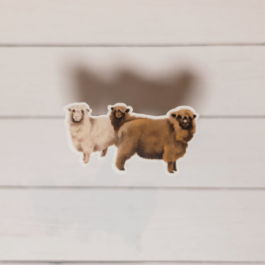 Sticker • Romney Sheep Trio