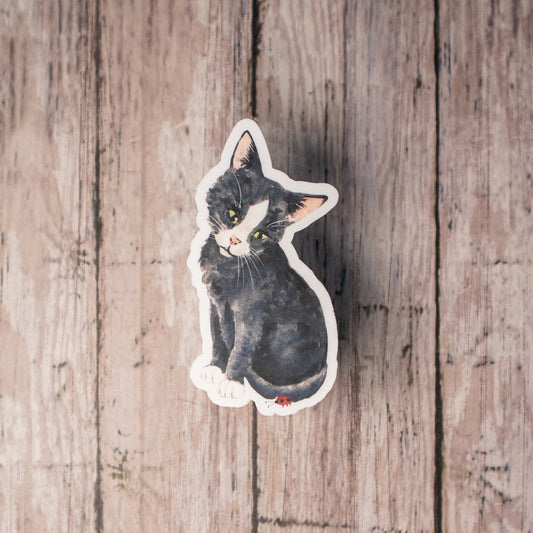 Sticker • Tuxedo Kitty with Ladybug